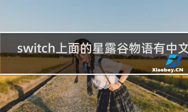 switch上面的星露谷物语有中文吗