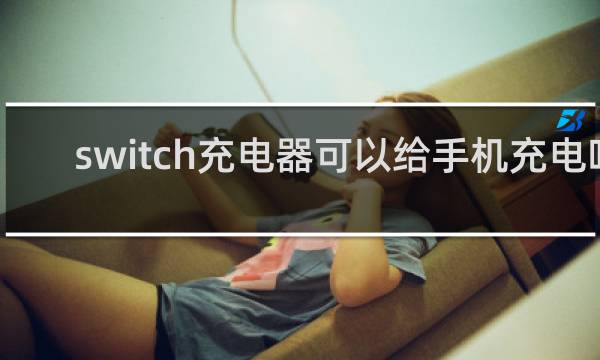 switch充电器可以给手机充电吗