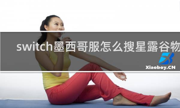 switch墨西哥服怎么搜星露谷物语