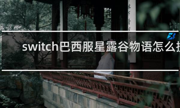 switch巴西服星露谷物语怎么搜