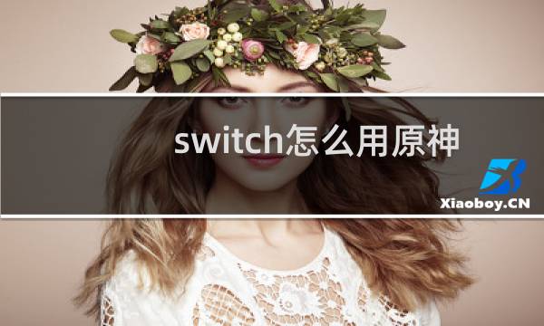 switch怎么用原神