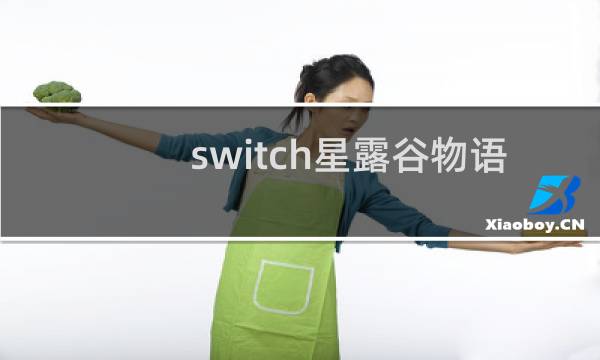 switch星露谷物语 大小