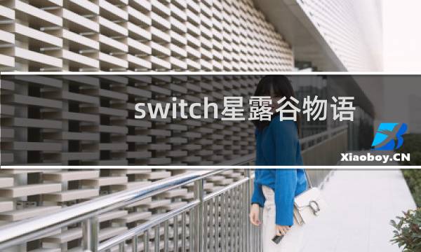 switch星露谷物语 联机教程