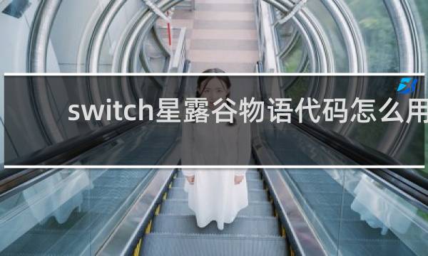 switch星露谷物语代码怎么用