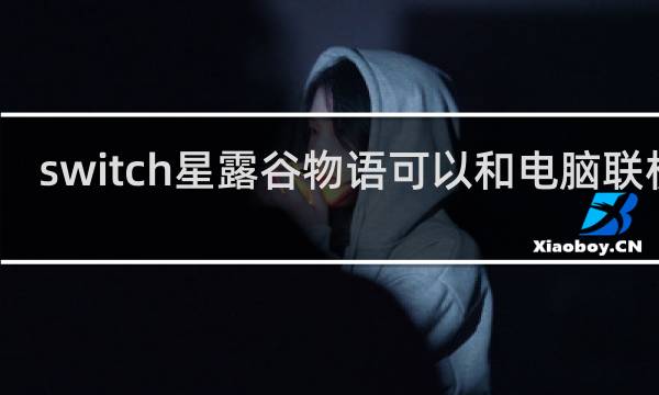 switch星露谷物语可以和电脑联机吗