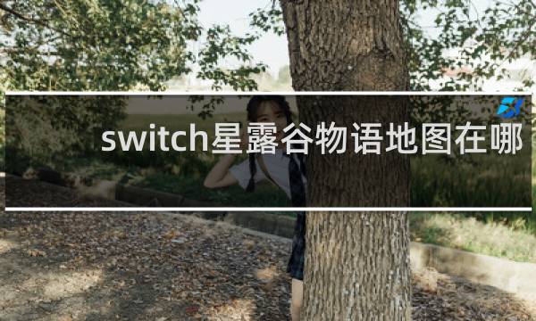 switch星露谷物语地图在哪