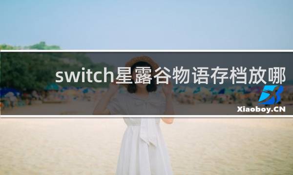 switch星露谷物语存档放哪
