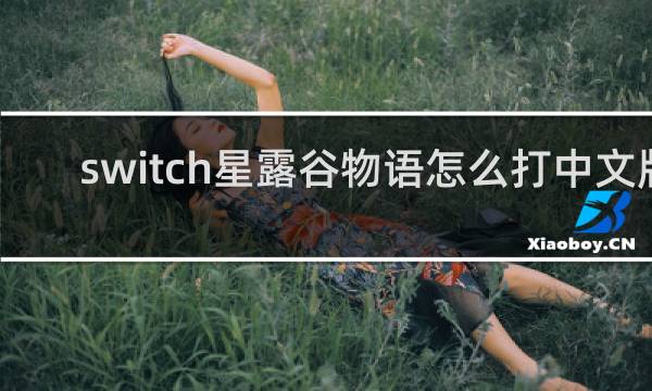 switch星露谷物语怎么打中文版