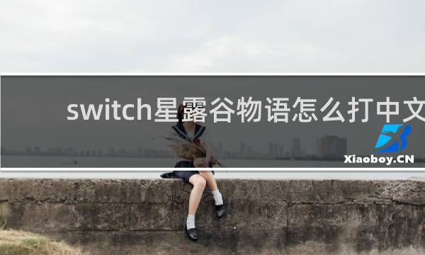 switch星露谷物语怎么打中文