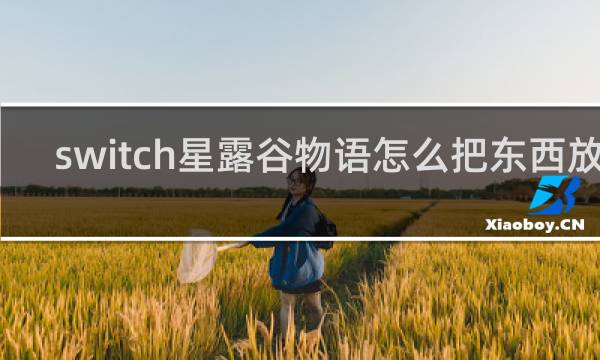 switch星露谷物语怎么把东西放下