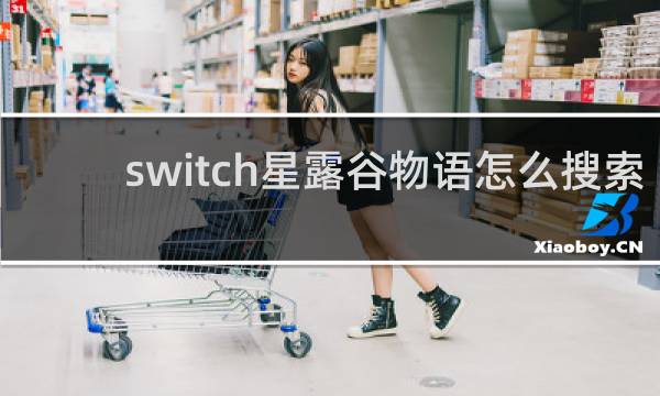 switch星露谷物语怎么搜索