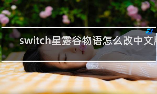 switch星露谷物语怎么改中文版