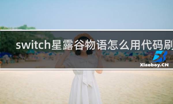 switch星露谷物语怎么用代码刷钱