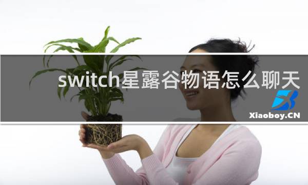 switch星露谷物语怎么聊天