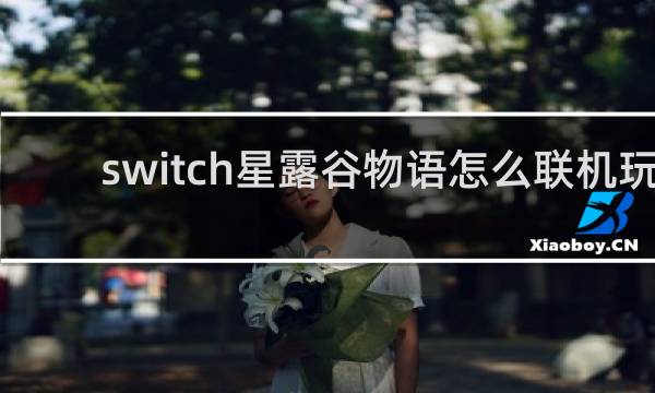 switch星露谷物语怎么联机玩