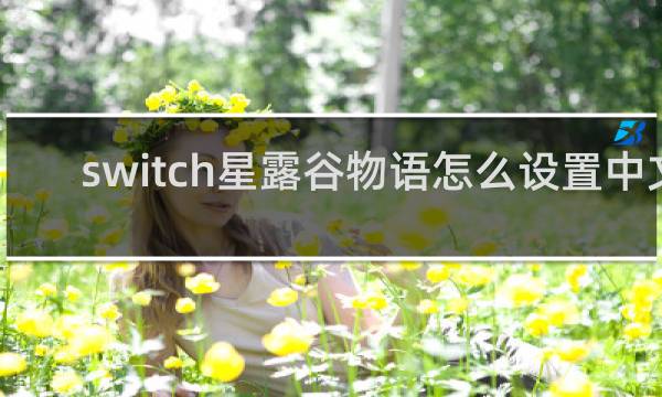 switch星露谷物语怎么设置中文