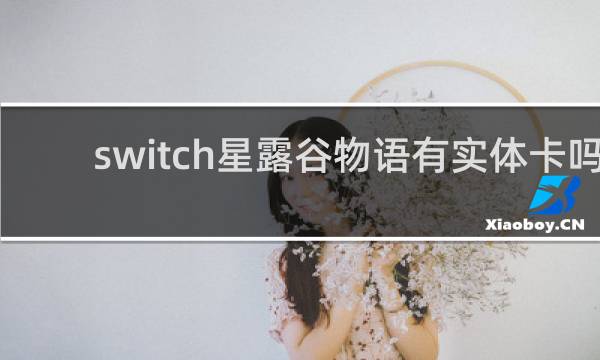 switch星露谷物语有实体卡吗