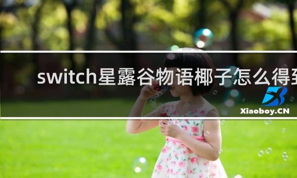 switch星露谷物语椰子怎么得到
