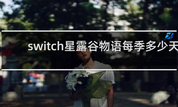 switch星露谷物语每季多少天