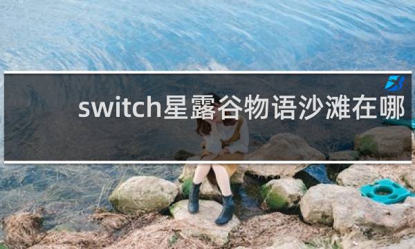 switch星露谷物语沙滩在哪
