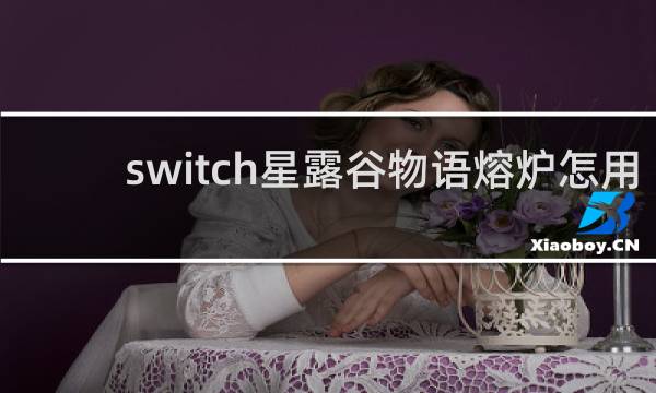switch星露谷物语熔炉怎用