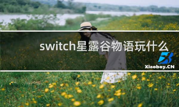 switch星露谷物语玩什么