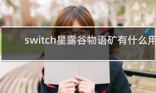 switch星露谷物语矿有什么用