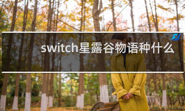 switch星露谷物语种什么