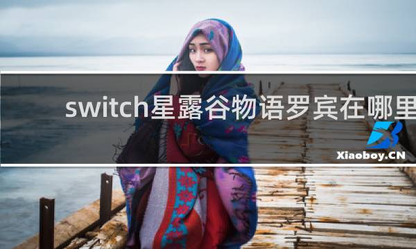 switch星露谷物语罗宾在哪里