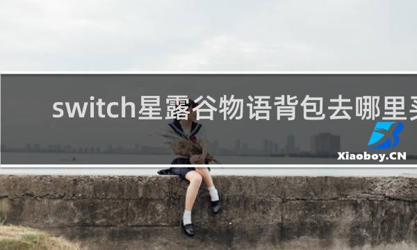 switch星露谷物语背包去哪里买