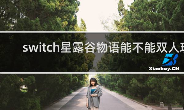 switch星露谷物语能不能双人玩