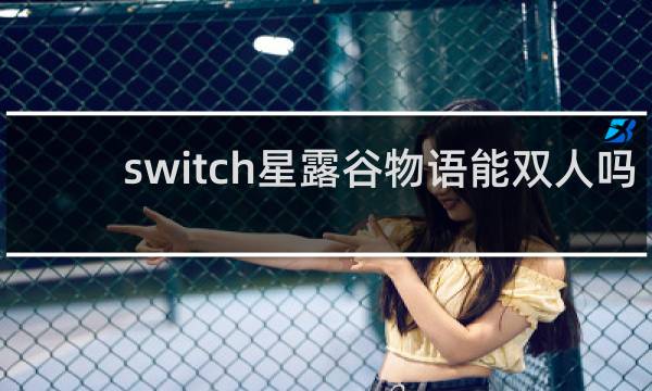 switch星露谷物语能双人吗
