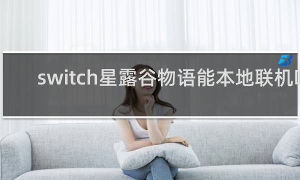 switch星露谷物语能本地联机吗