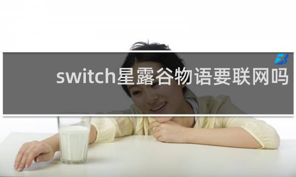 switch星露谷物语要联网吗