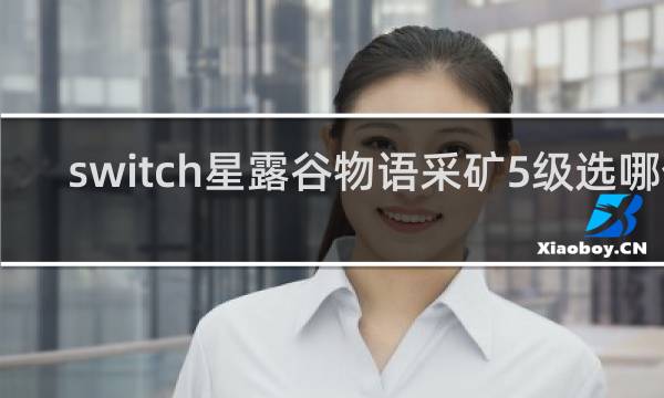 switch星露谷物语采矿5级选哪个