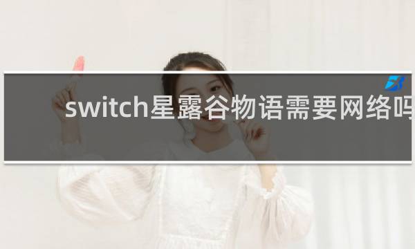 switch星露谷物语需要网络吗
