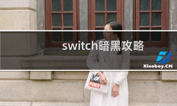 switch暗黑攻略