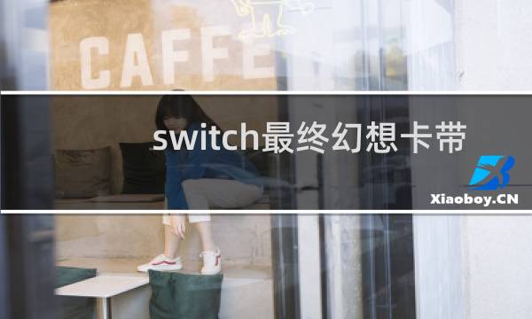 switch最终幻想卡带