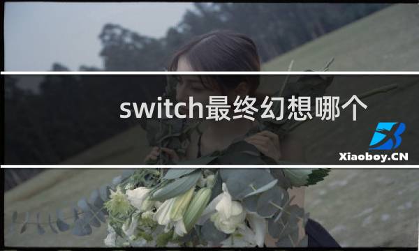 switch最终幻想哪个