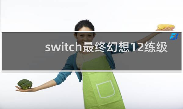 switch最终幻想12练级