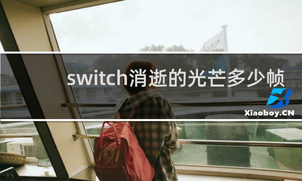 switch消逝的光芒多少帧