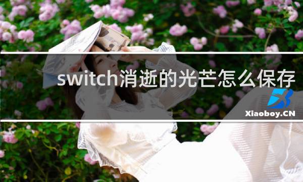 switch消逝的光芒怎么保存