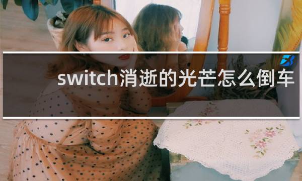 switch消逝的光芒怎么倒车