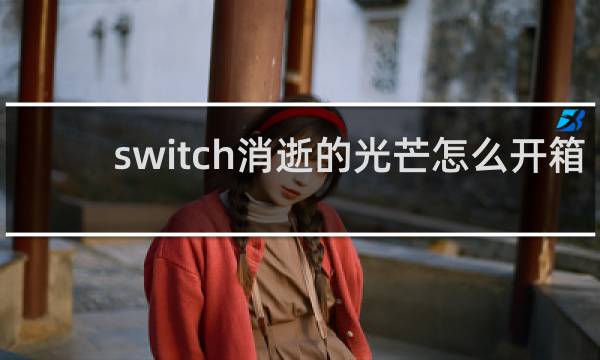 switch消逝的光芒怎么开箱