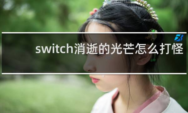 switch消逝的光芒怎么打怪