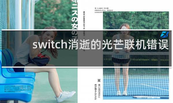 switch消逝的光芒联机错误