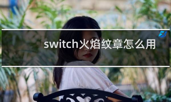 switch火焰纹章怎么用