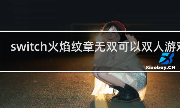 switch火焰纹章无双可以双人游戏吗