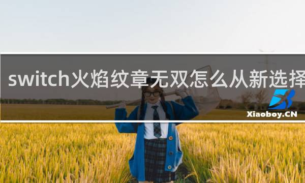switch火焰纹章无双怎么从新选择语言