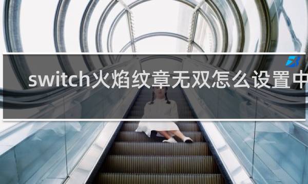 switch火焰纹章无双怎么设置中文